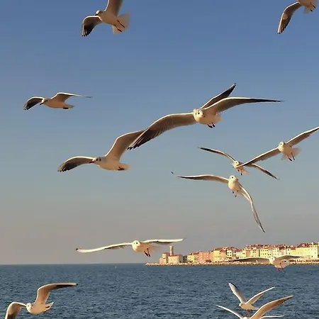 Vesna Portorož