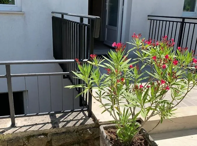 Vesna بورتوروز